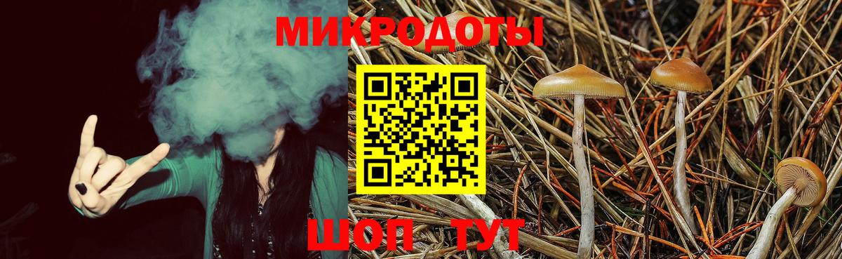 Галлюциногенные грибы прущие грибы Орёл